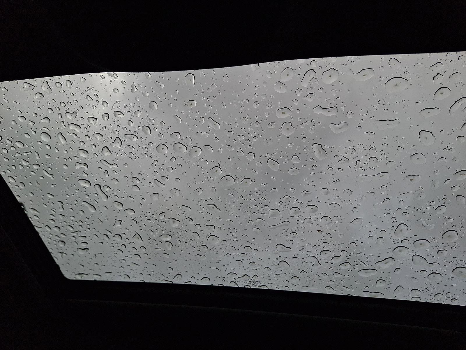 Used 2023 Audi S4 Premium Plus w/ Premium Plus Package image 14