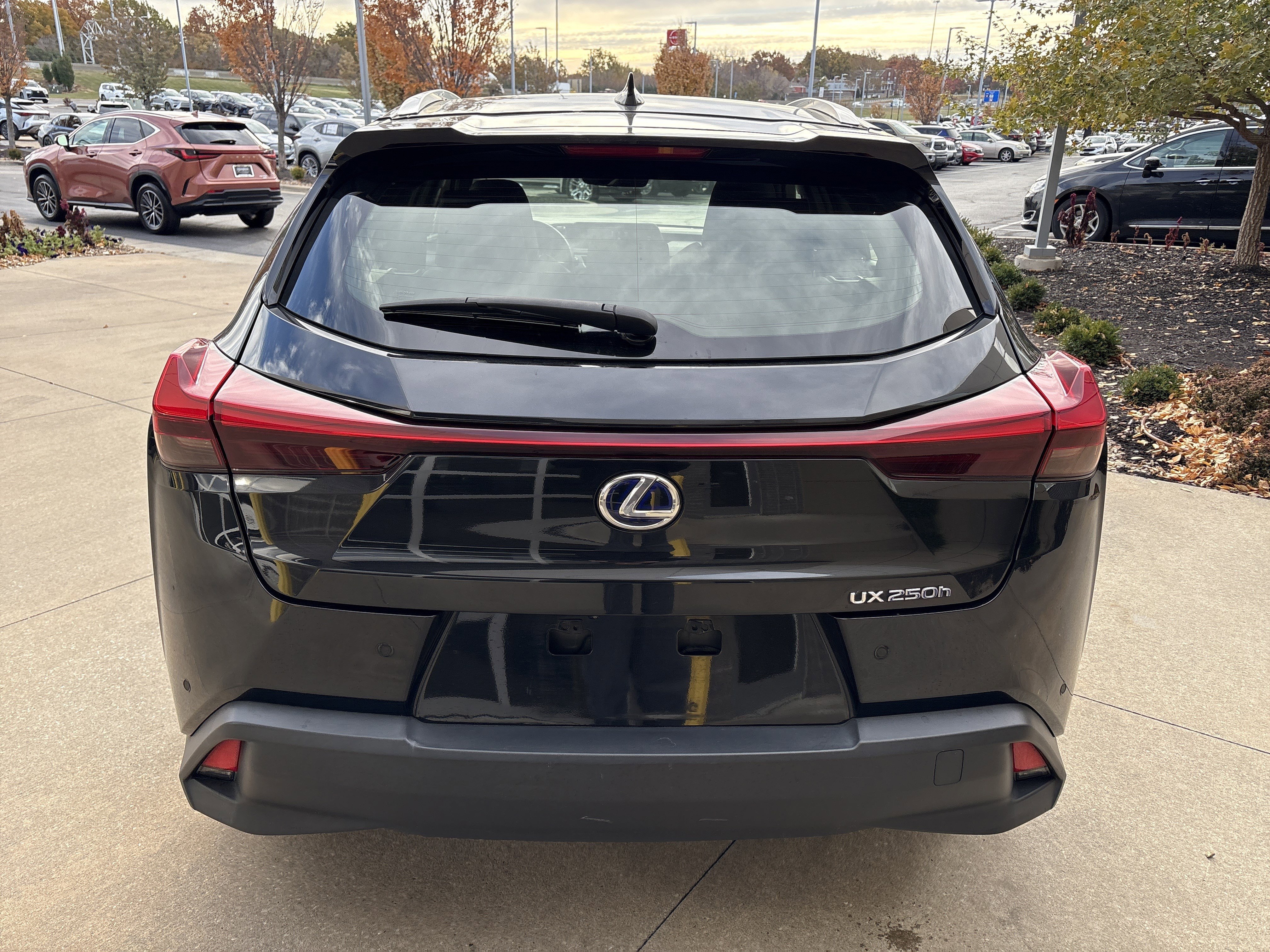 Used 2021 Lexus UX 250h w/ Premium Package image 9