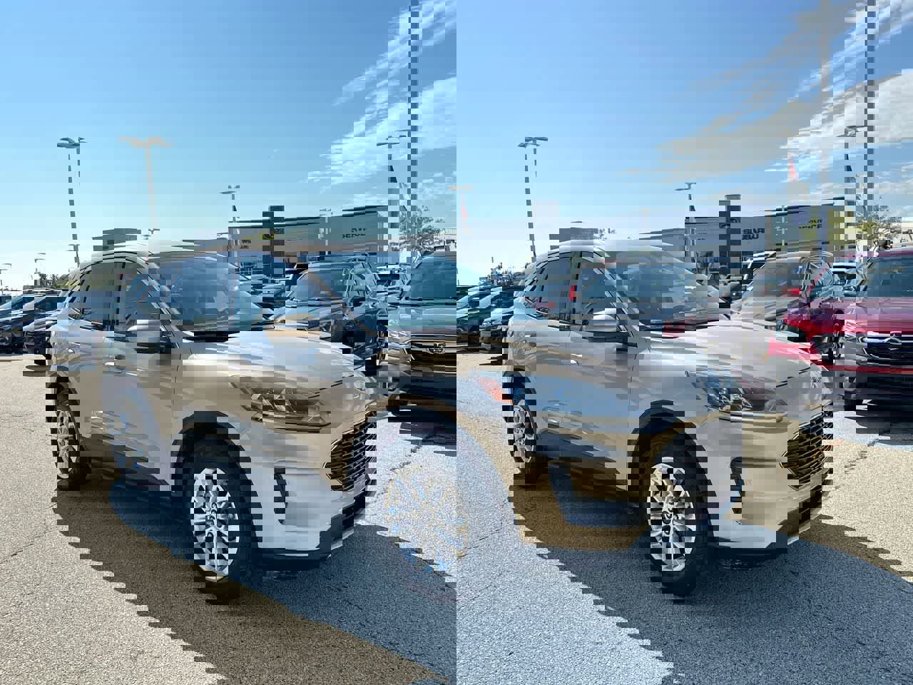 Used 2020 Ford Escape SE image 15