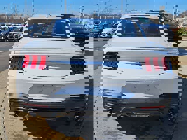Used 2024 Ford Mustang GT Premium image 7