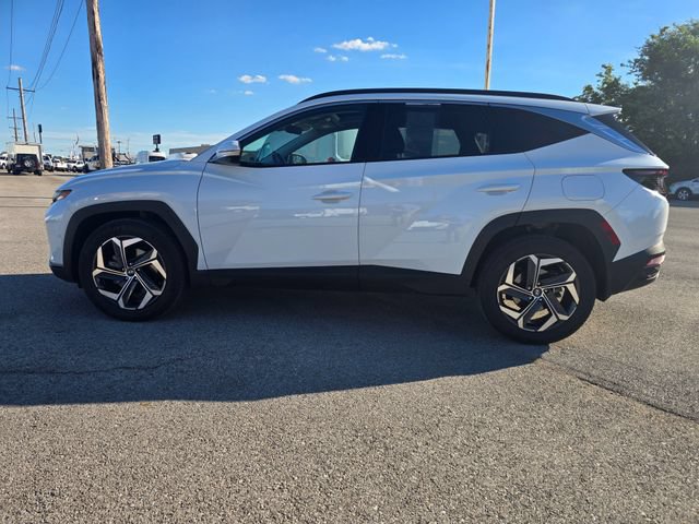 Used 2023 Hyundai Tucson Limited AWD/4WD image 6