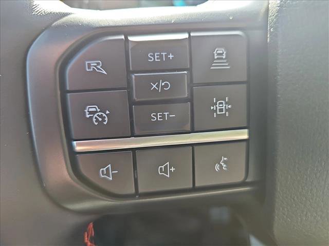 New 2025 Ford F150 Raptor image 17