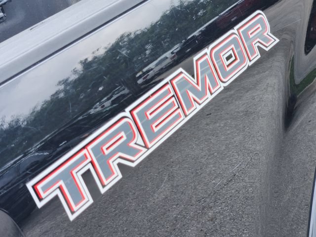 Used 2021 Ford F250 Platinum w/ Tremor Off-Road Package AWD/4WD image 13