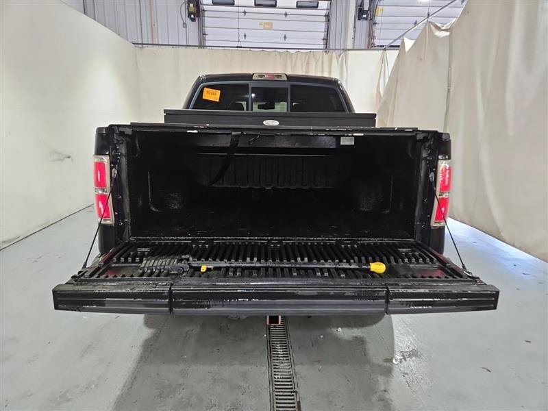 Used 2010 Ford F150 Platinum AWD/4WD image 7