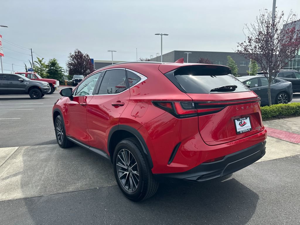 Used 2023 Lexus NX 350 AWD w/ Cold Area Package image 3