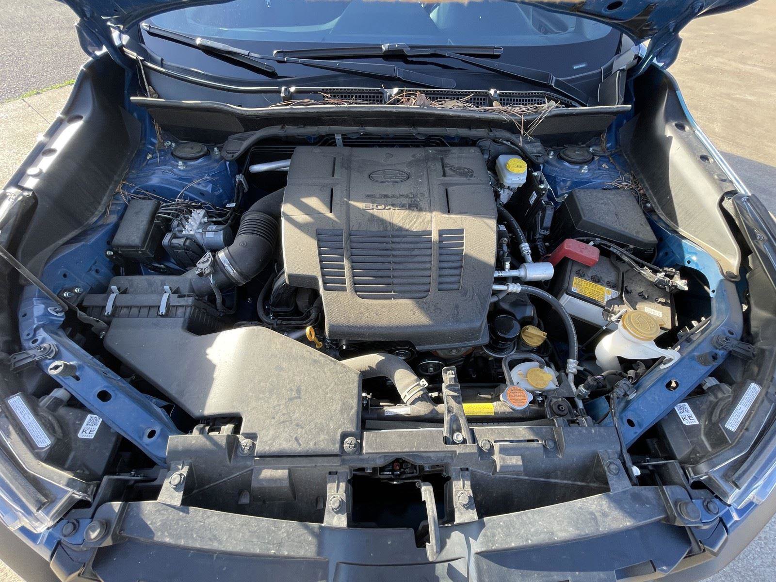 Used 2024 Subaru Forester Wilderness w/ Convenience Package image 48