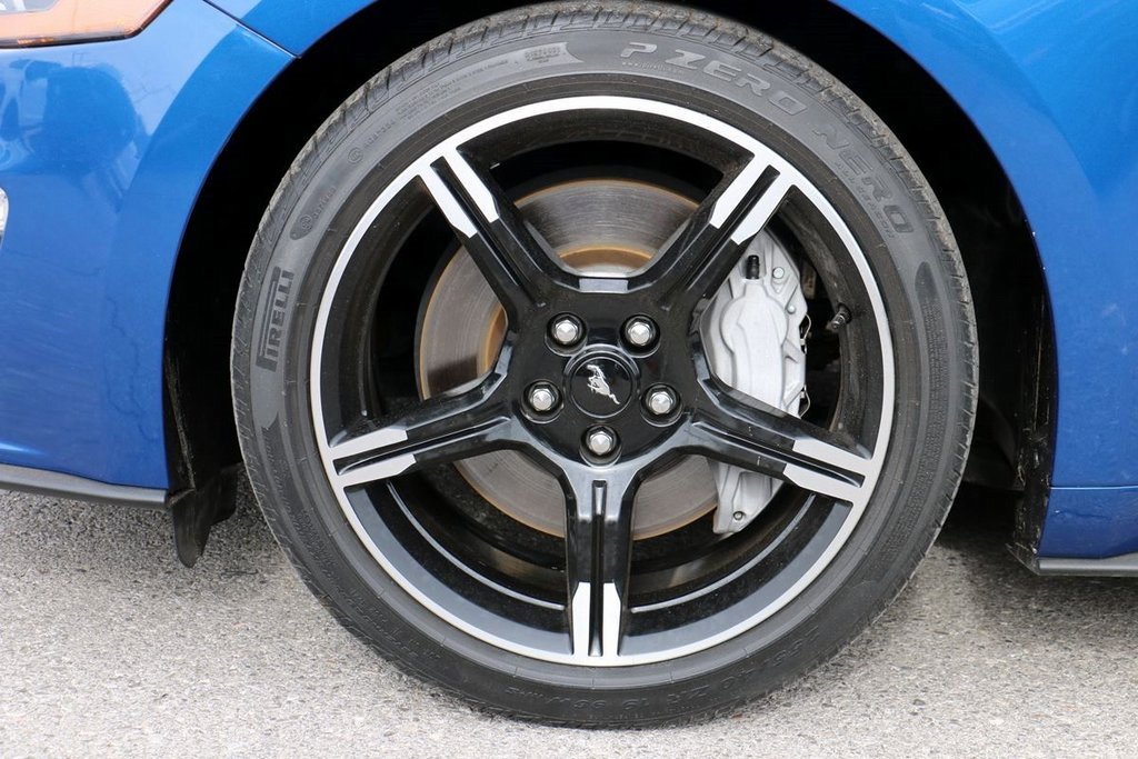 Used 2023 Ford F150 Raptor w/ Raptor Carbon Fiber Package image 17