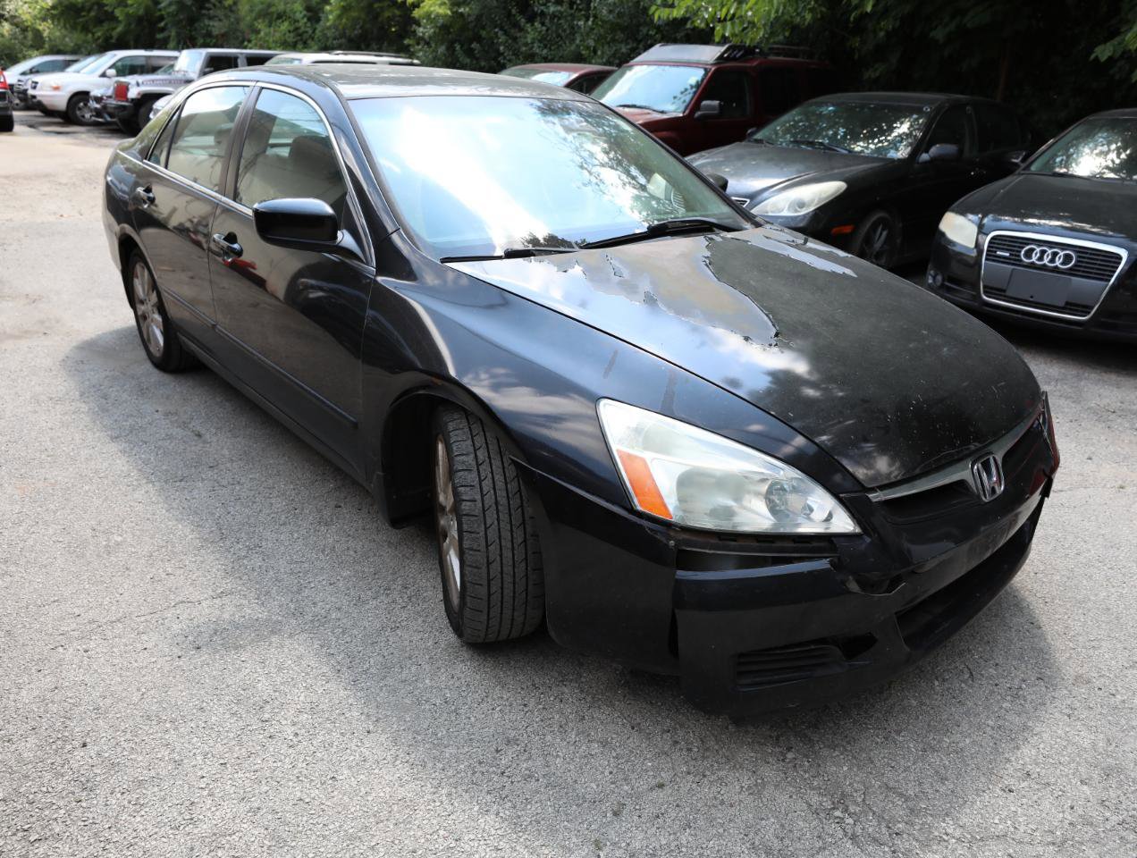 Used 2007 Honda Accord EX-L image 4
