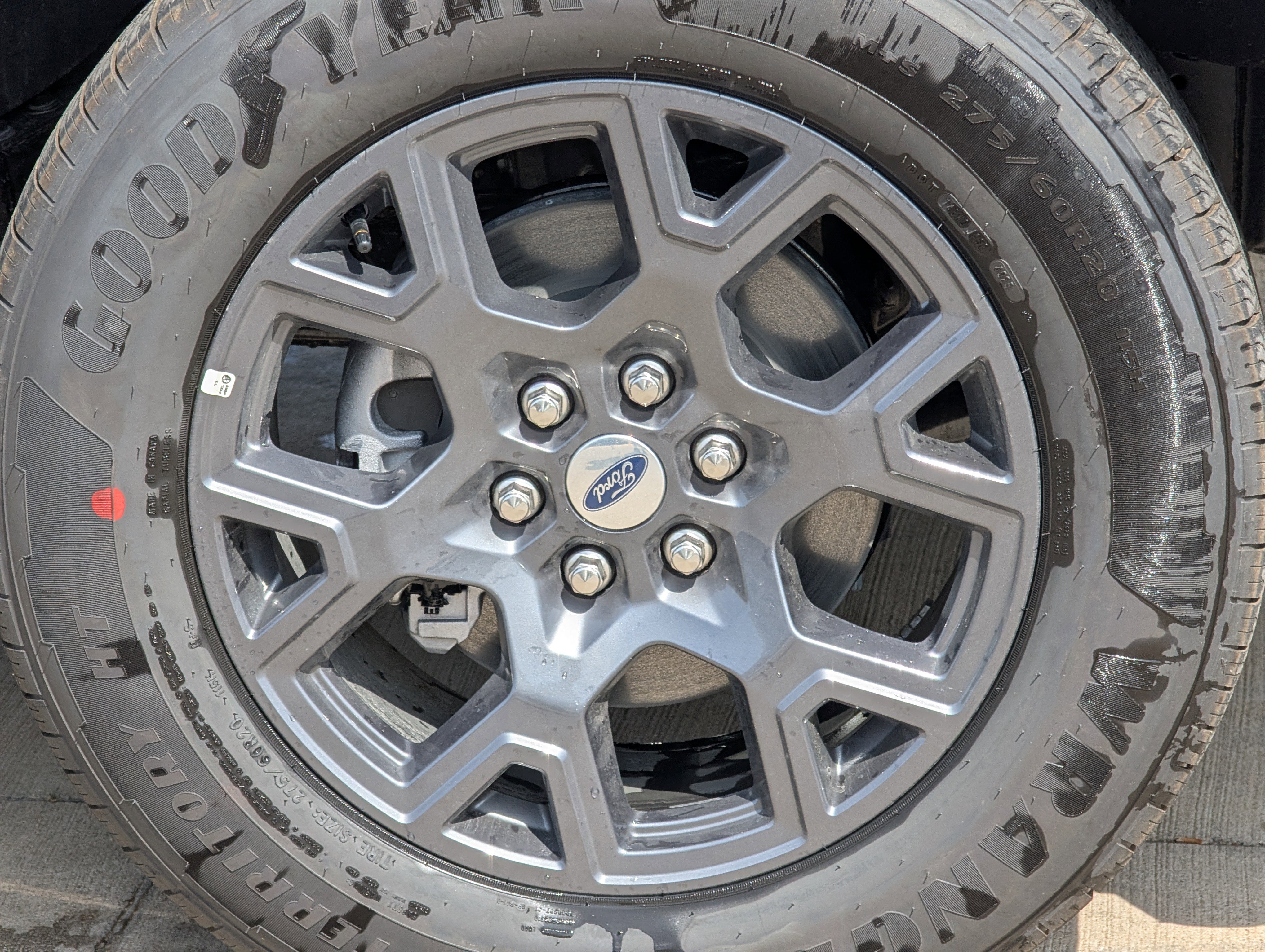 New 2026 Ford F150 STX w/ Equipment Group 200A RWD image 10