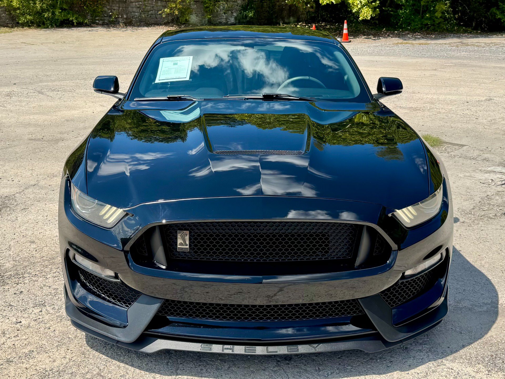 Used 2016 Ford Mustang Shelby GT350 w/ Technology Package RWD image 5