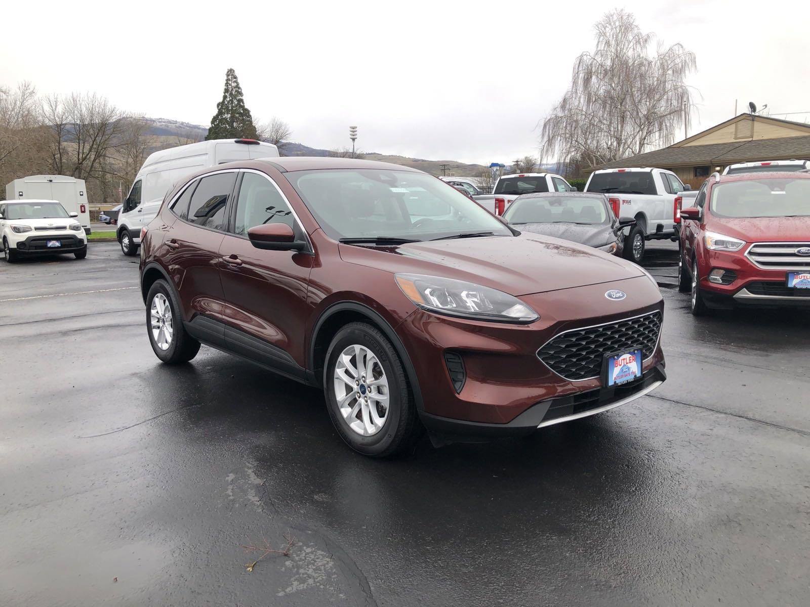 Used 2021 Ford Escape SE w/ Cold Weather Package FWD image 6