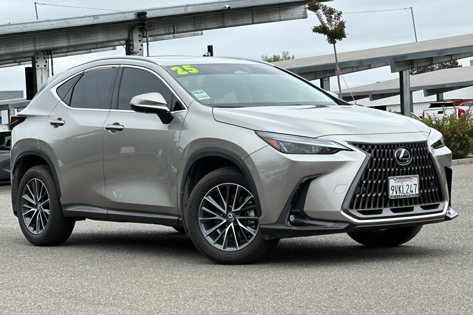 Used 2025 Lexus NX 350 AWD w/ Cold Area Package image 2