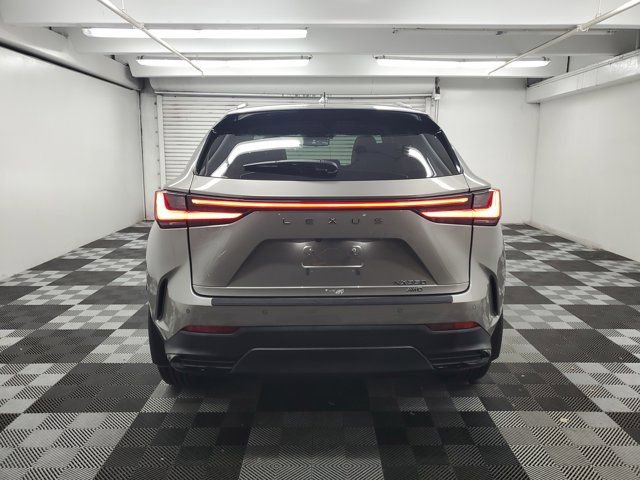 Used 2024 Lexus NX 350 AWD image 5