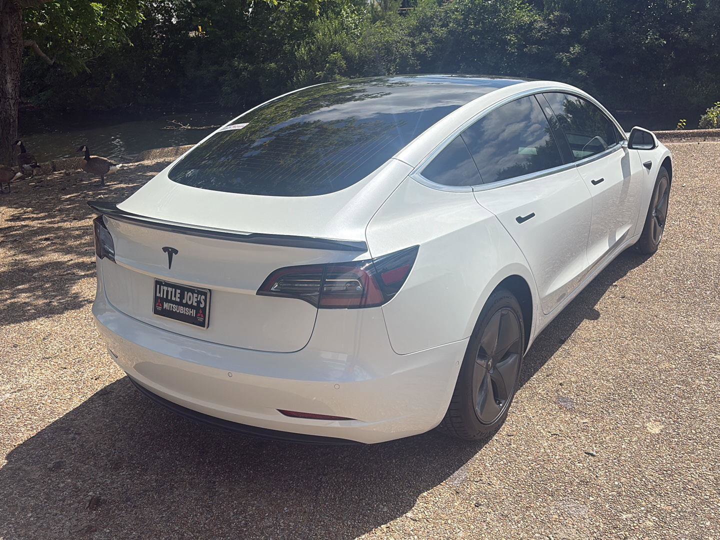 Used 2019 Tesla Model 3 Standard Range RWD image 5