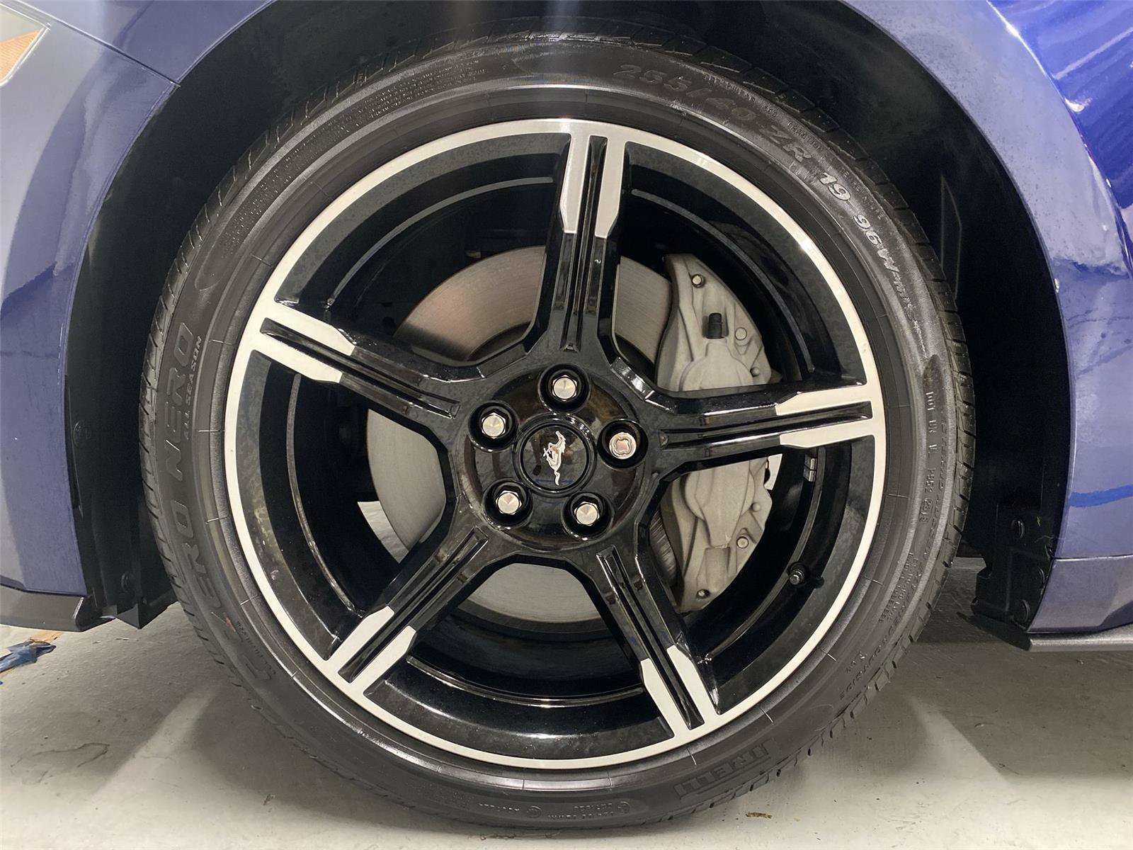 Used 2019 Ford Mustang GT Premium w/ California Special Package RWD image 22