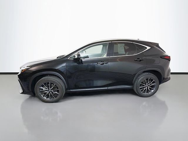 Used 2023 Lexus NX 350 AWD image 4
