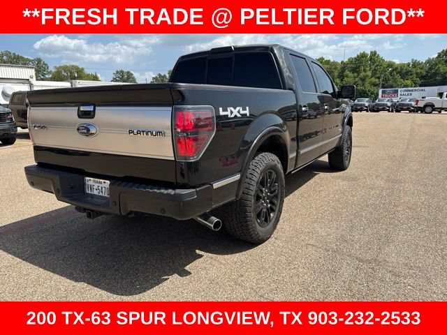 Used 2014 Ford F150 Platinum AWD/4WD image 18