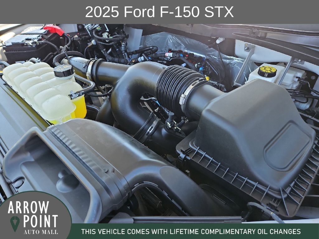 Used 2025 Ford F150 STX w/ Equipment Group 200A RWD image 14