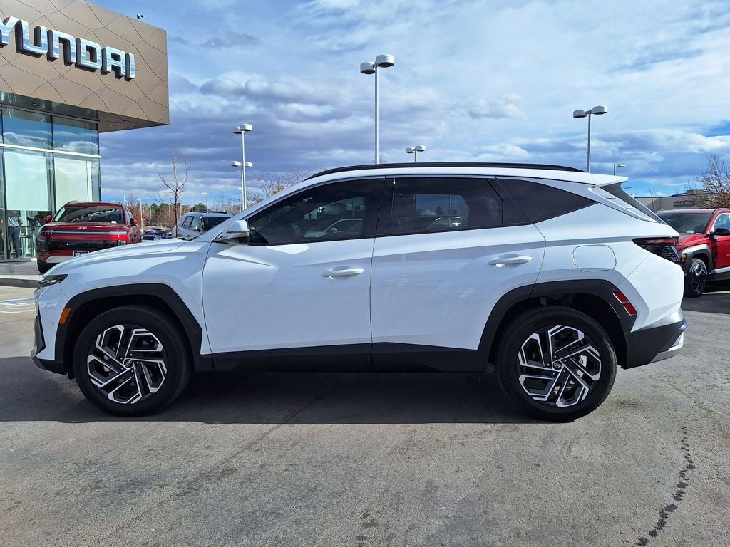 New 2025 Hyundai Tucson Limited image 6