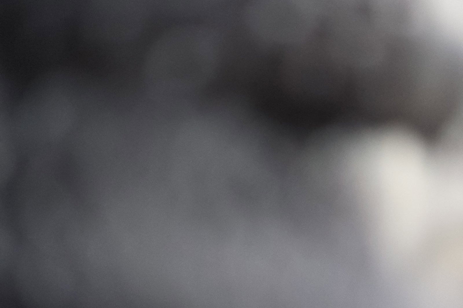 Used 2019 Honda Ridgeline Sport image 26