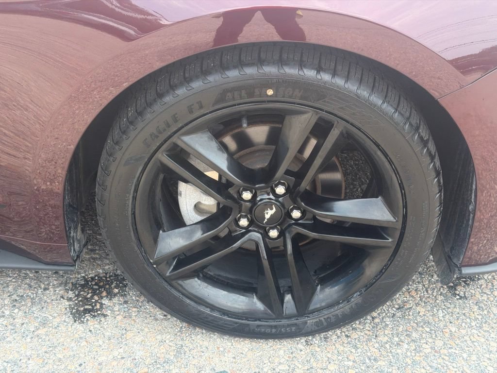 Used 2018 Ford Mustang Premium w/ Equipment Group 201A RWD image 15