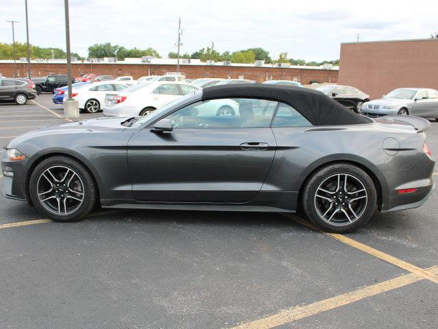 Used 2019 Ford Mustang Premium RWD image 7