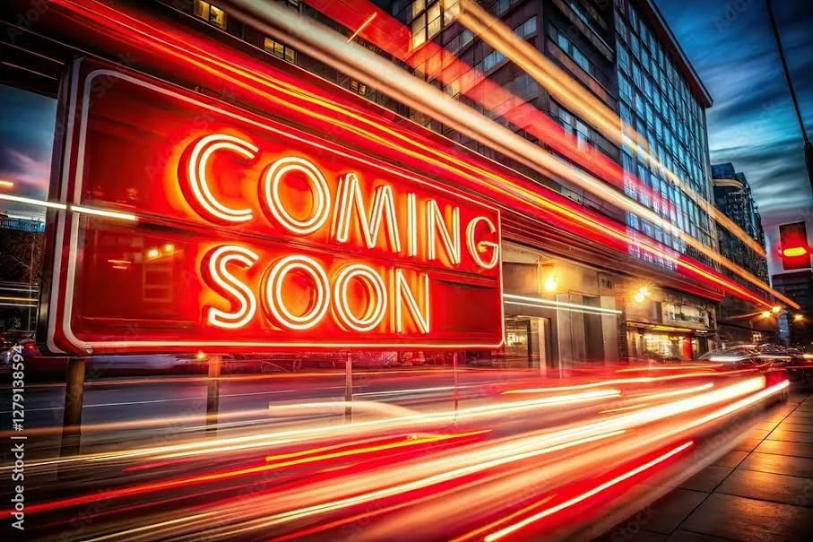 Used 2017 Chevrolet Express 2500 LS image 2