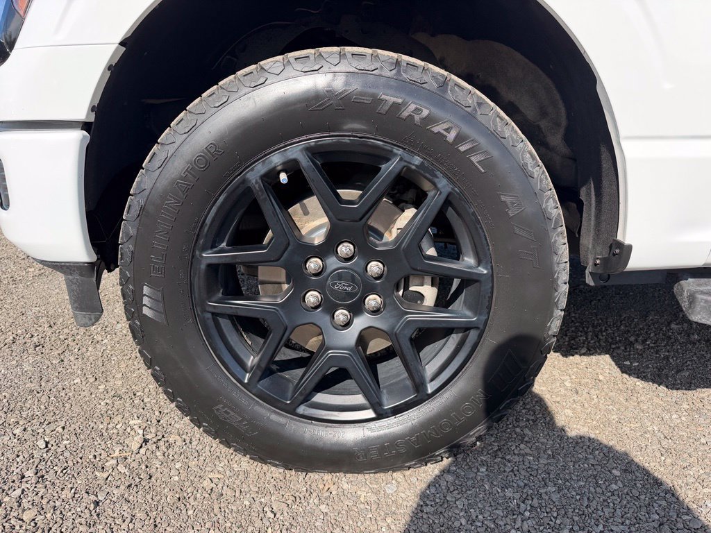 Used 2024 Ford F150 STX w/ STX Black Appearance Package AWD/4WD image 13