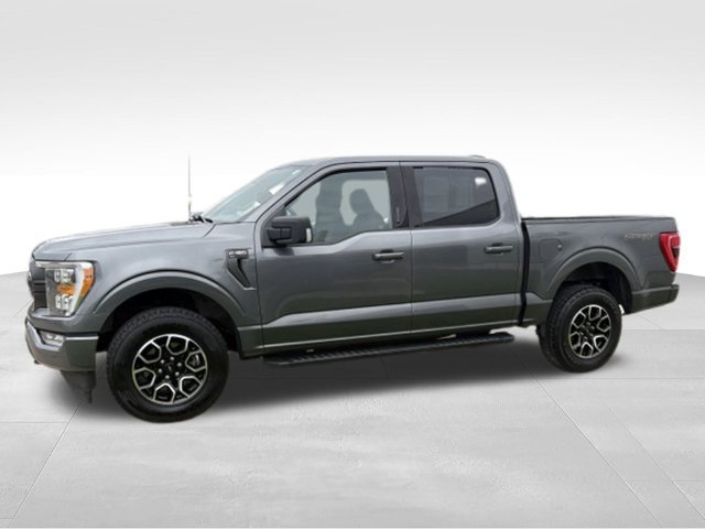 Used 2023 Ford F150 XLT w/ Equipment Group 302A High AWD/4WD image 11