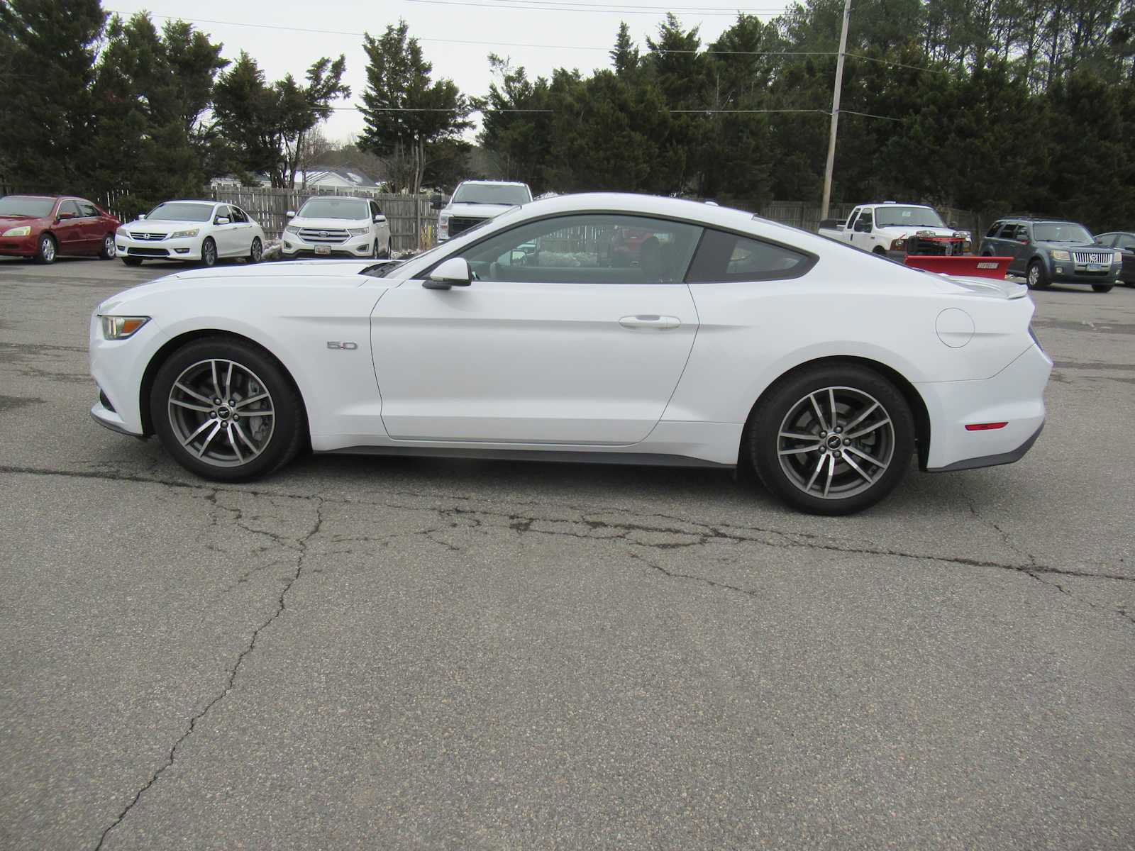 Used 2015 Ford Mustang GT Premium w/ Equipment Group 401A image 8