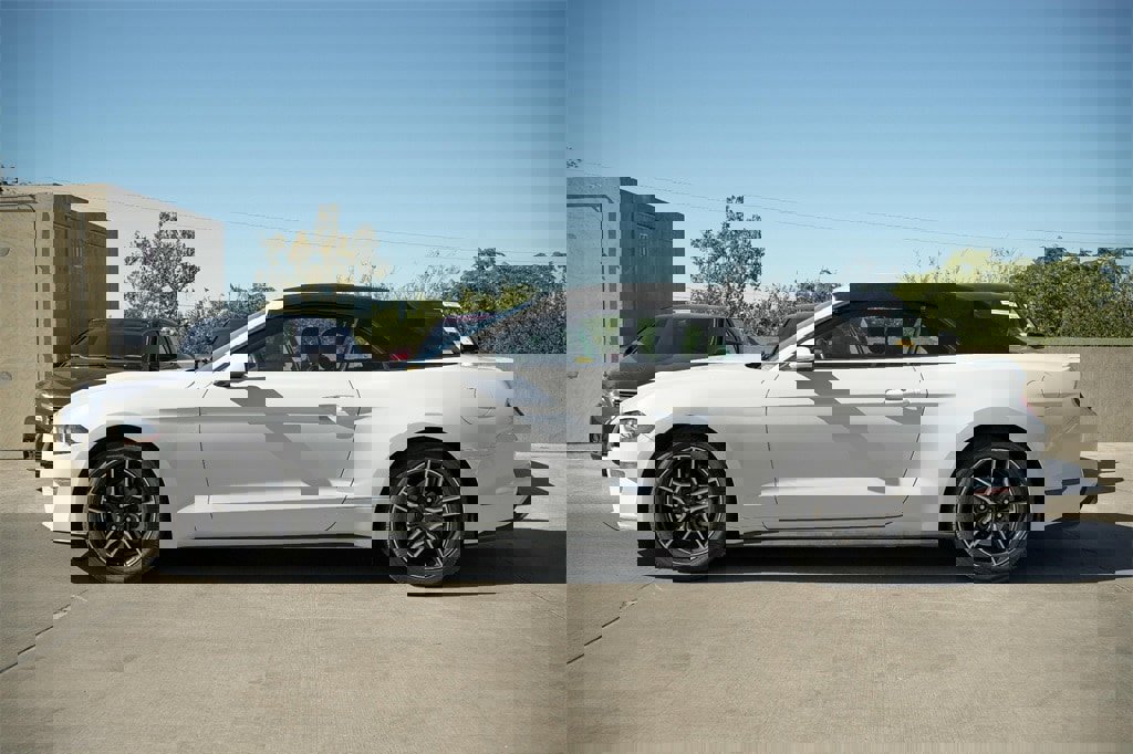 Used 2022 Ford Mustang Premium image 4