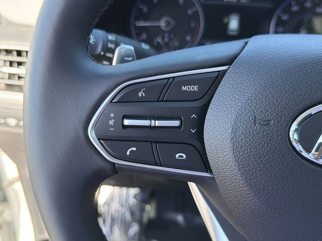 Used 2022 Hyundai Palisade SEL w/ Premium Package image 25