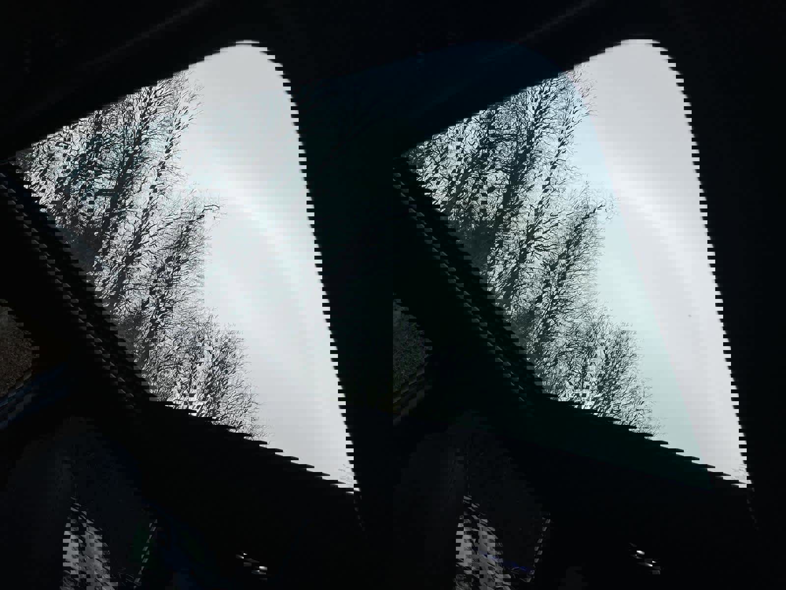 Certified 2024 Subaru Forester Wilderness image 14