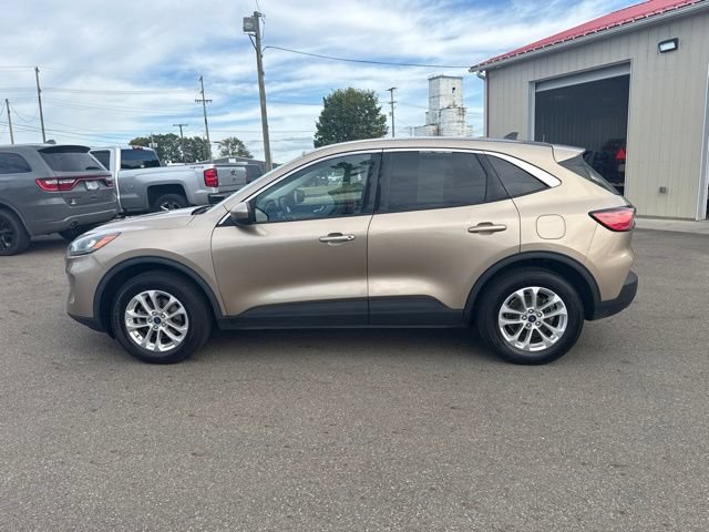 Used 2021 Ford Escape SE AWD/4WD image 6