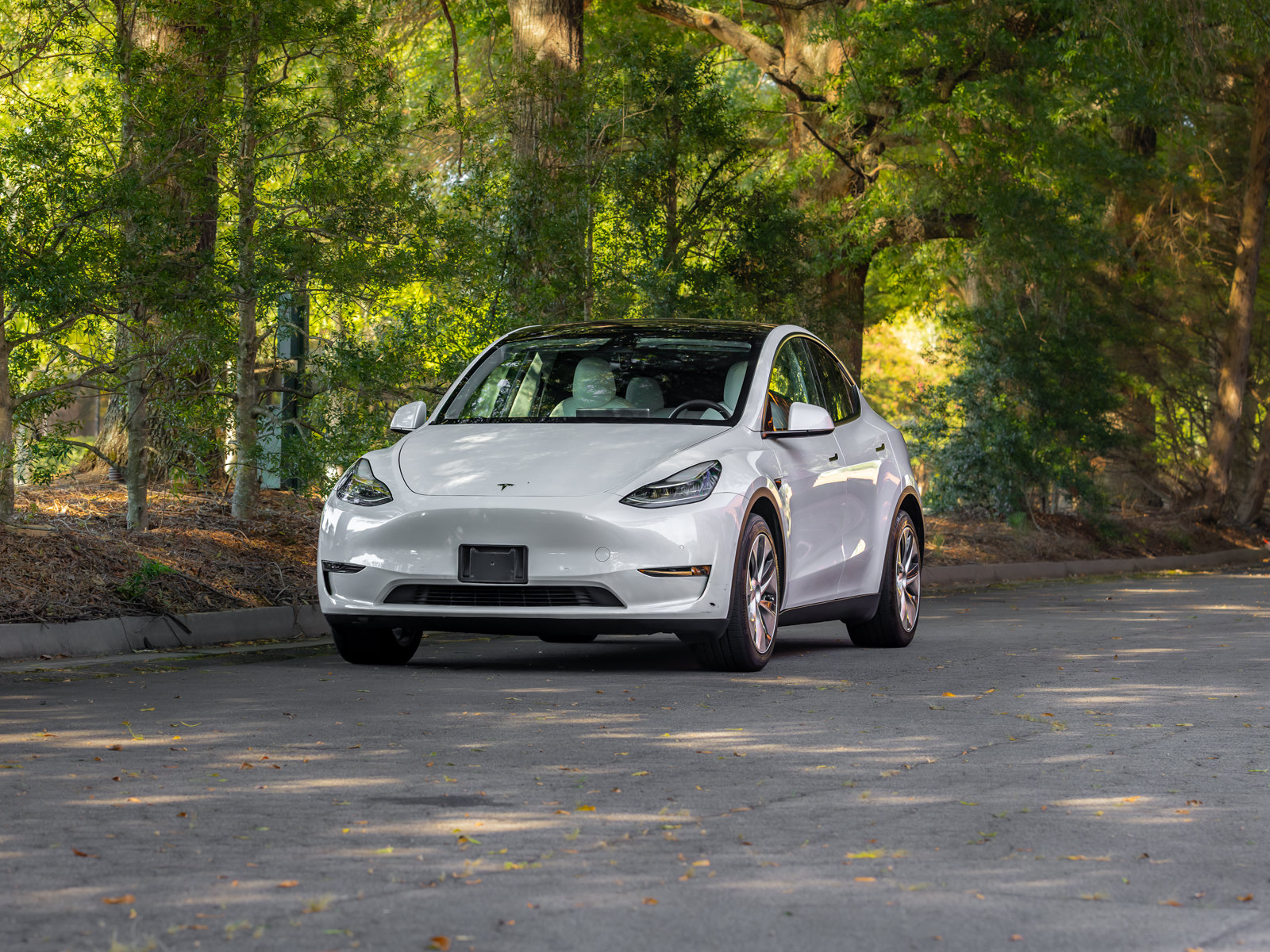 Used 2020 Tesla Model Y Long Range AWD/4WD image 45