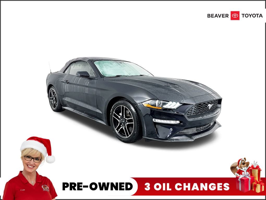 Used 2019 Ford Mustang Premium video 1