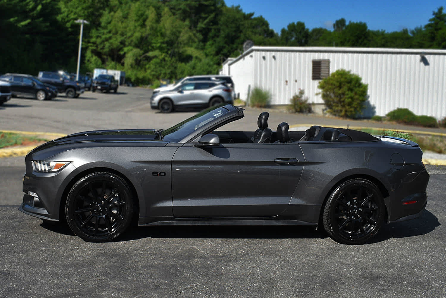 Used 2016 Ford Mustang GT Premium w/ Equipment Group 401A RWD image 6