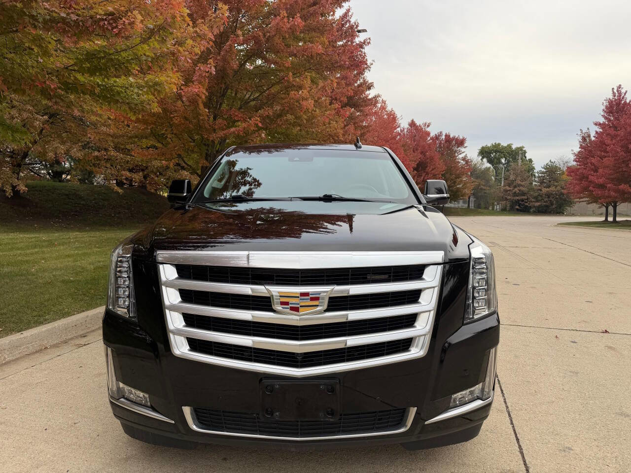 Used 2015 Cadillac Escalade Luxury image 2