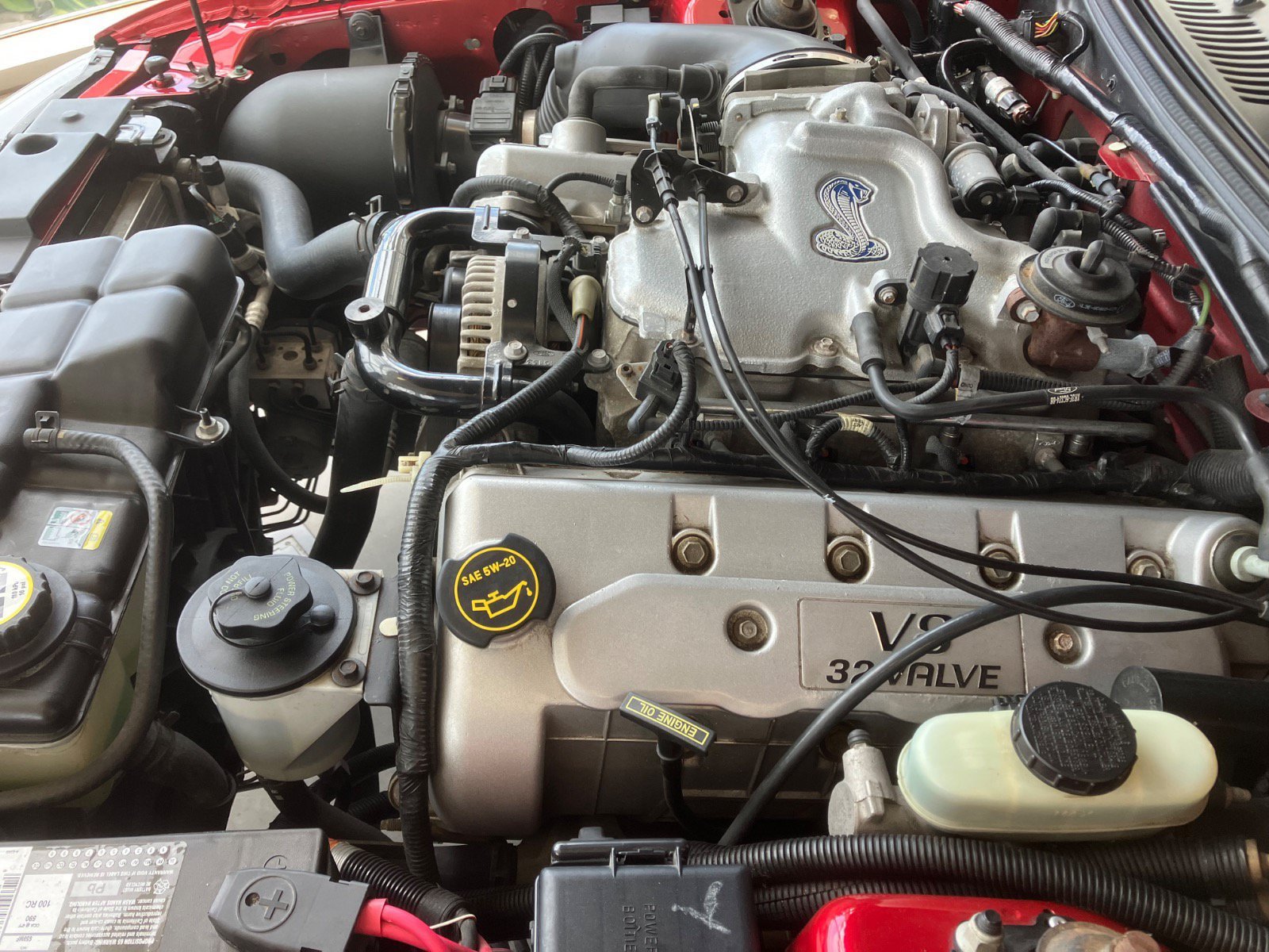 Used 2001 Ford Mustang Cobra RWD image 18
