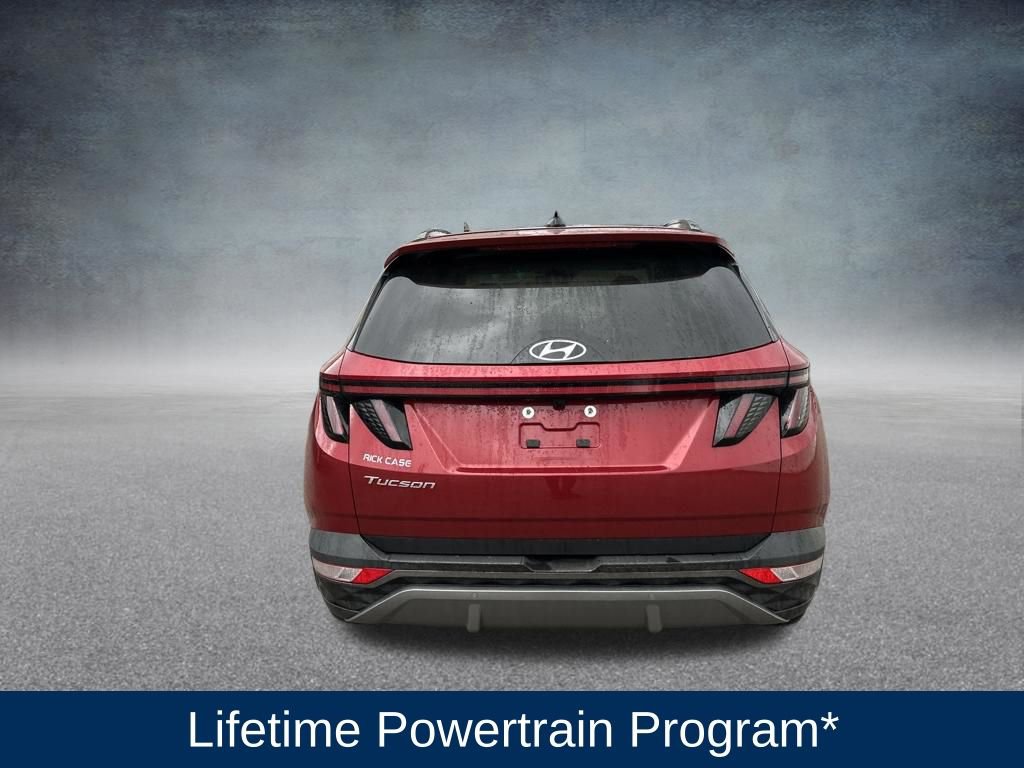 Used 2024 Hyundai Tucson Limited image 4