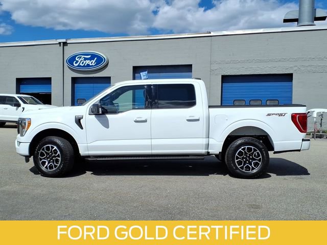 Certified 2023 Ford F150 XLT w/ Equipment Group 302A High AWD/4WD image 2
