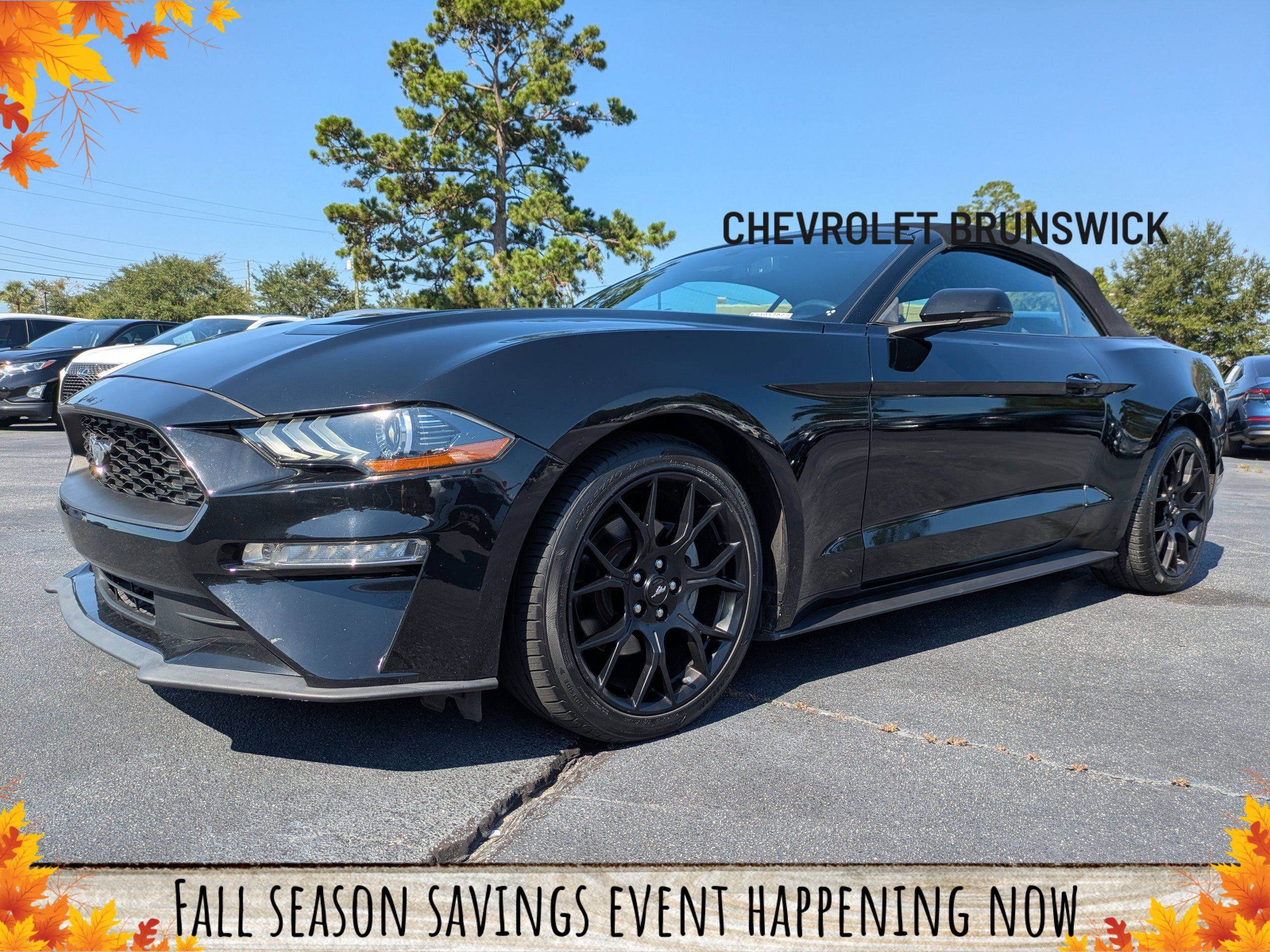 Used 2019 Ford Mustang Premium