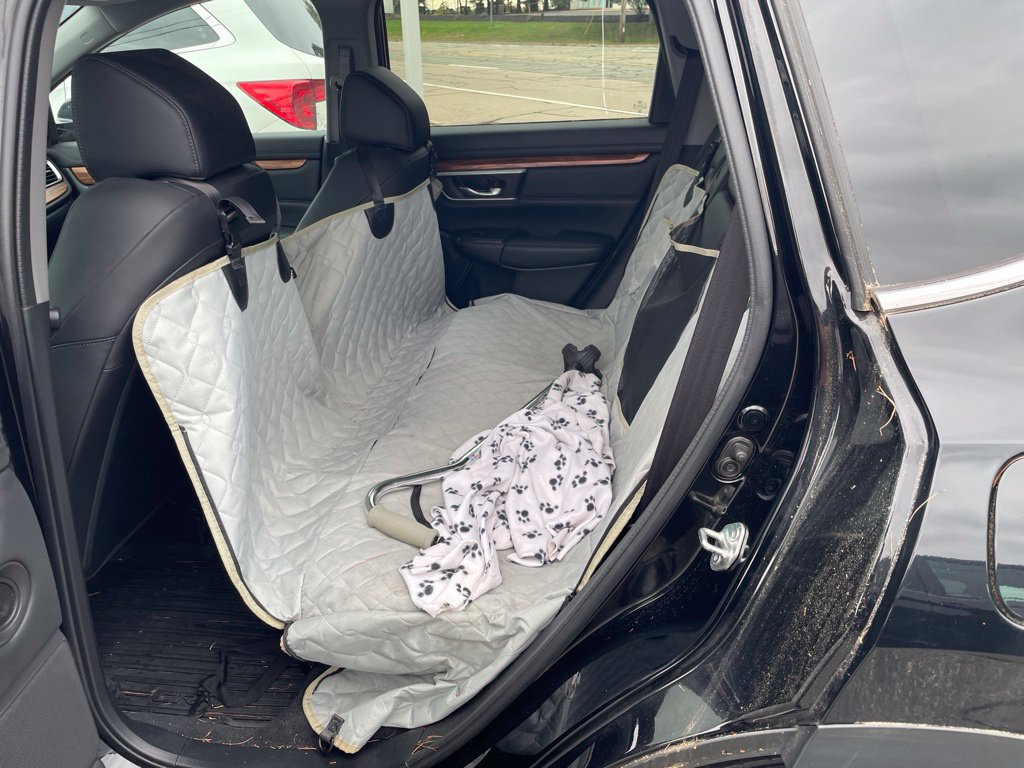 Used 2020 Honda CR-V EX-L image 11