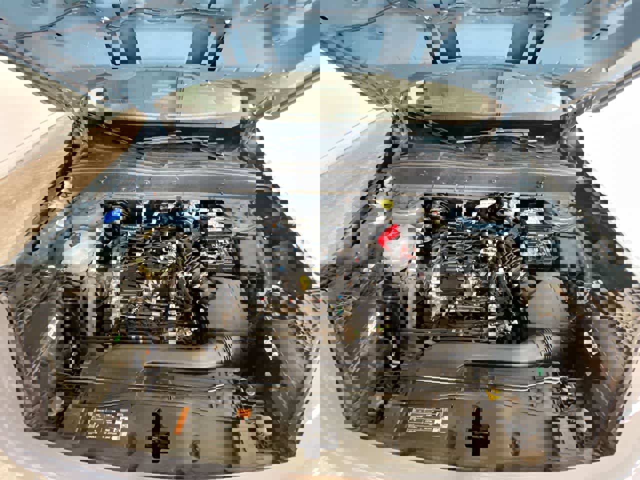 Used 2022 Ford Bronco Sport Big Bend w/ Convenience Package image 24