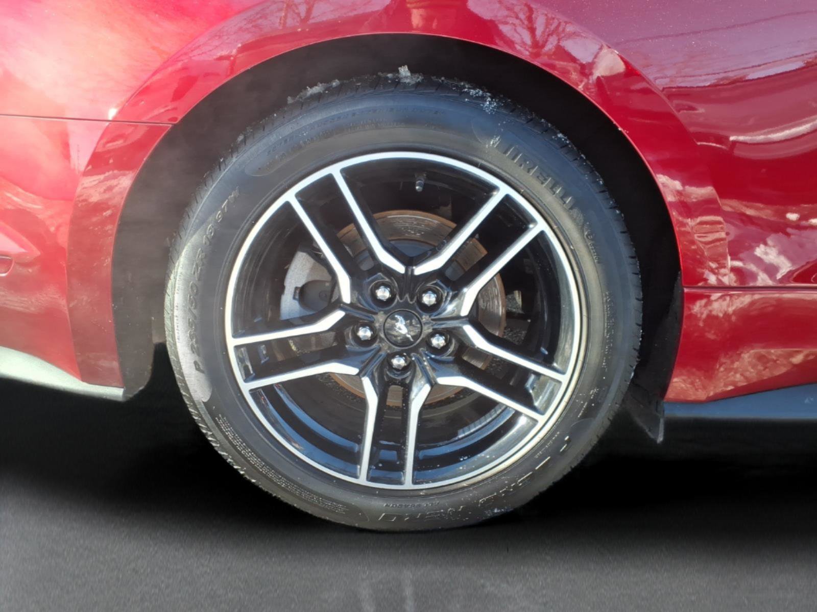 Used 2021 Ford Mustang Convertible w/ Equipment Group 101A image 11