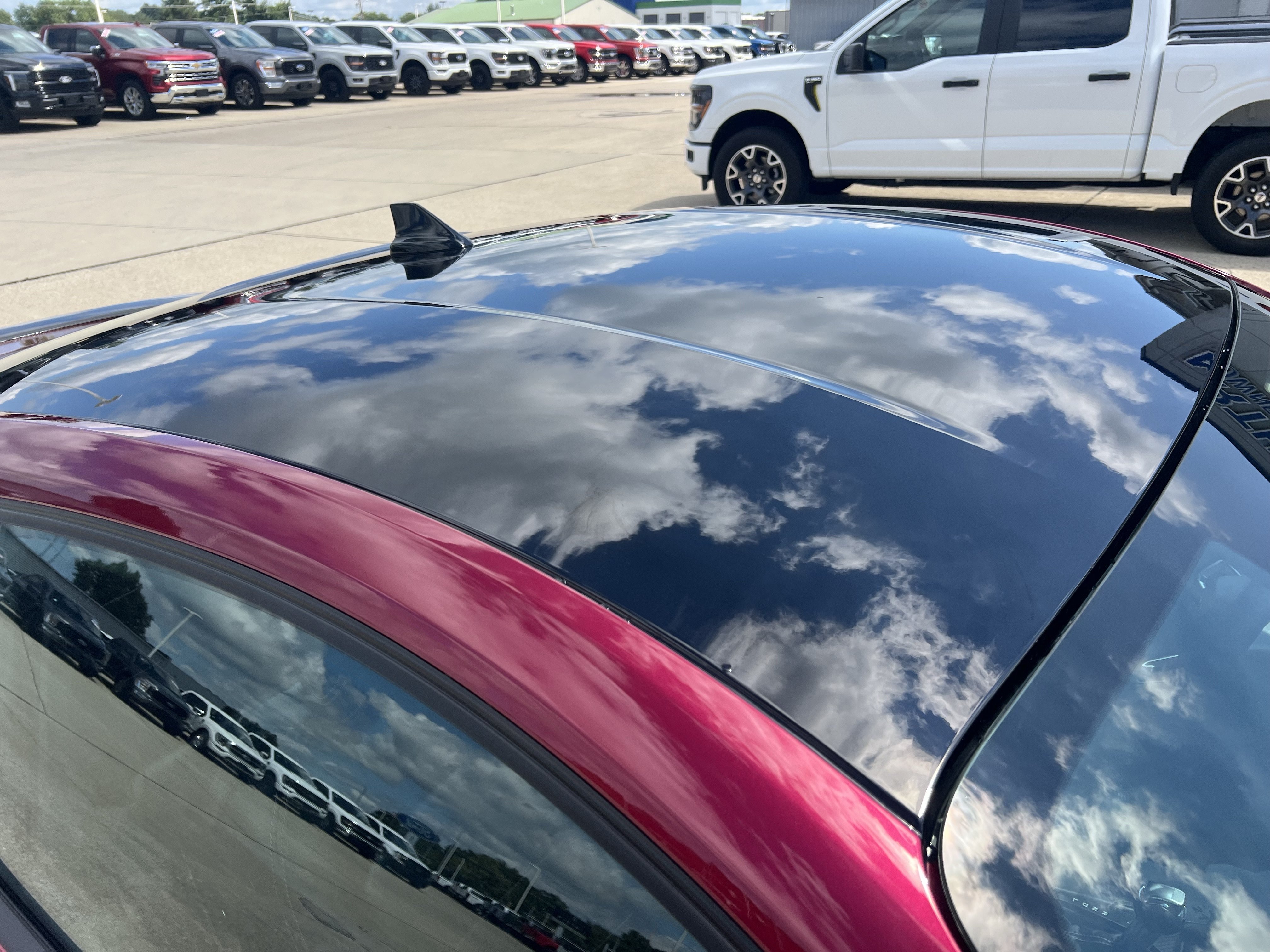 Used 2025 Ford Mustang Premium RWD image 3