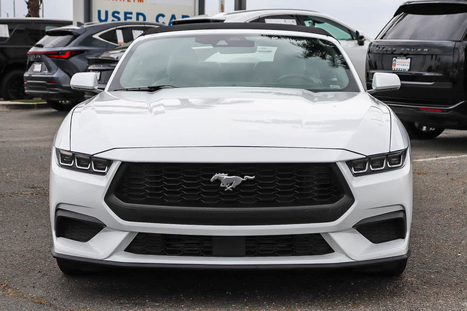 Used 2024 Ford Mustang Premium RWD image 2