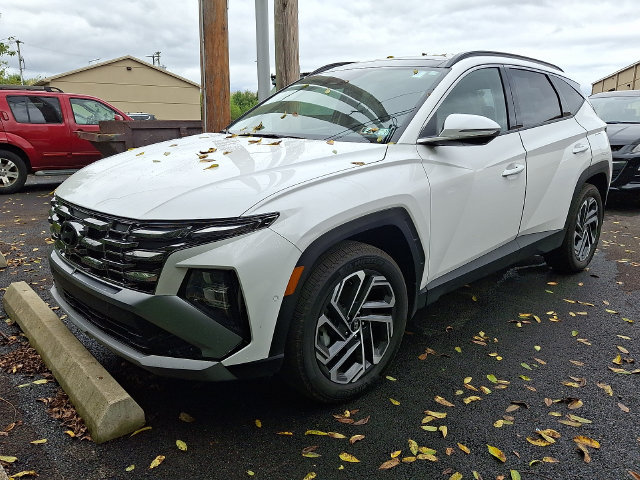 Used 2025 Hyundai Tucson Limited AWD/4WD image 2