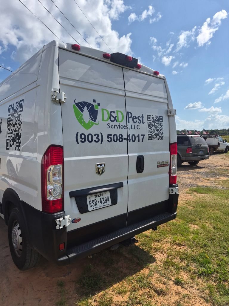 Used 2022 RAM ProMaster 2500 w/ Driver Convenience Group FWD image 2