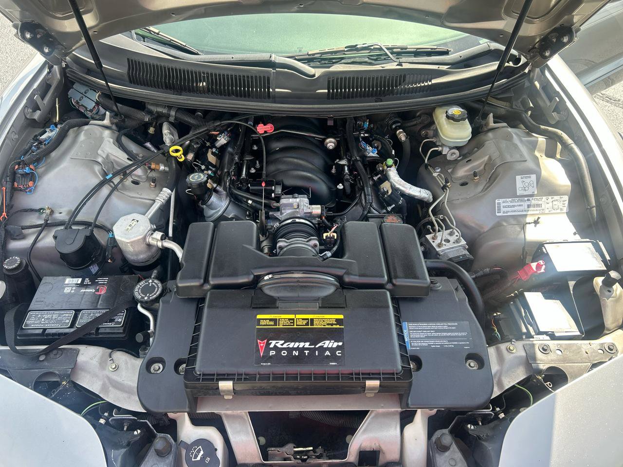 Used 2002 Pontiac Firebird Trans Am w/ SLP Firehawk Pkg RWD image 17